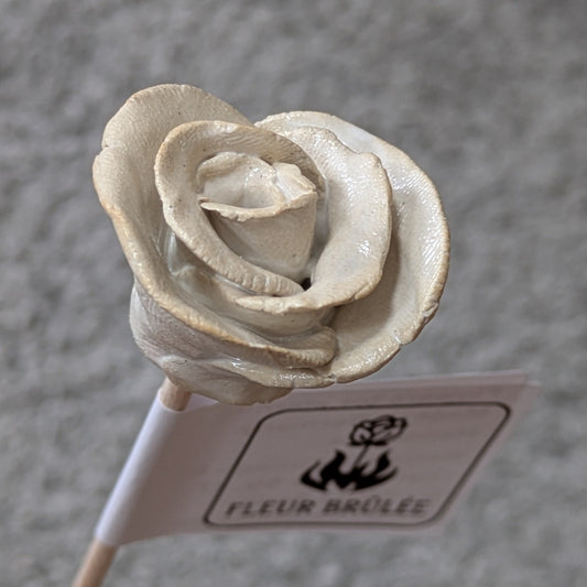 Fleur Brûlée - Rose - natur - die einzigartige Keramikblume am Stil